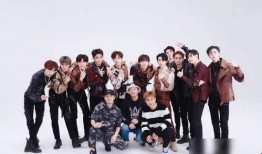 蓝姓艺人爆料视频播放大全